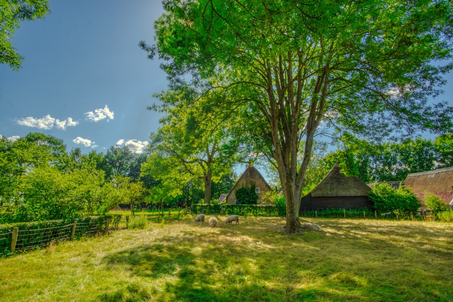 Vakantie in Drenthe – Ontdek de Perfecte Bestemming & Boek Direct
