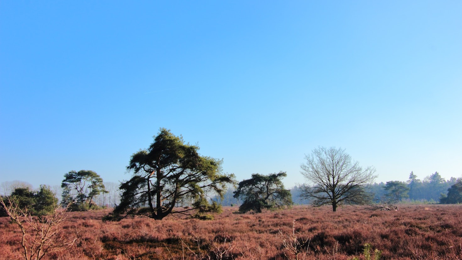 Ontspannen met wellness: de beste plekken in Drenthe